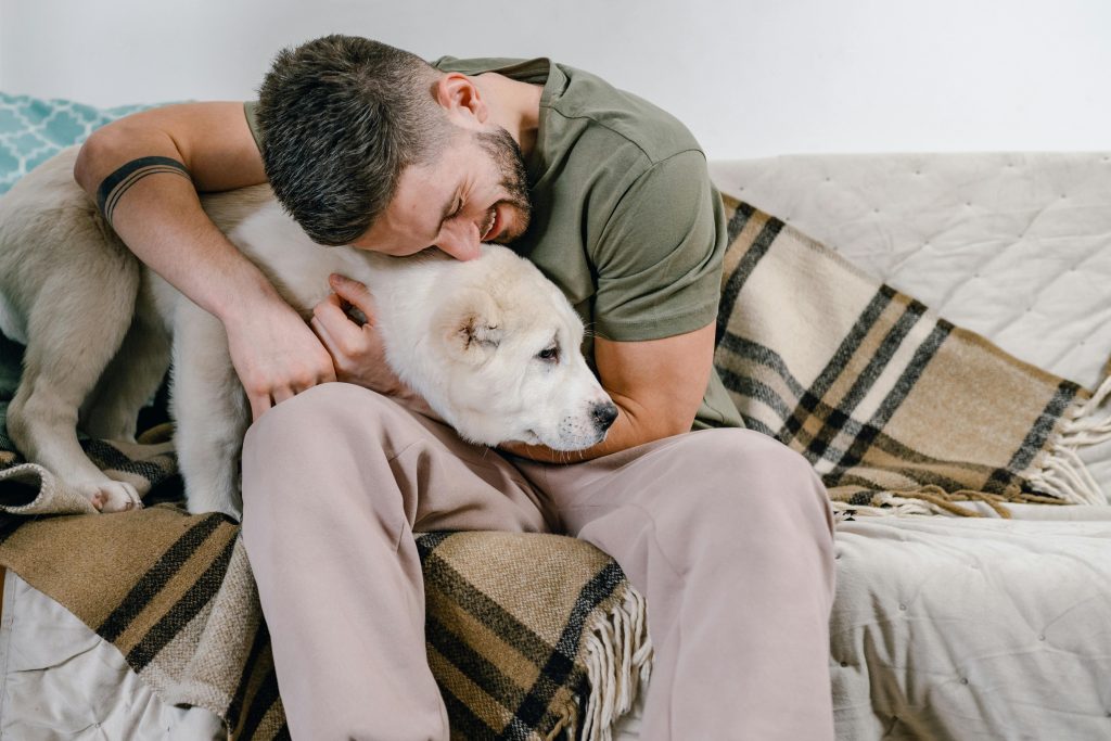 vida tranquila para mascotas